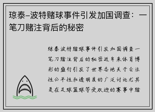 琼泰-波特赌球事件引发加国调查：一笔刀赌注背后的秘密