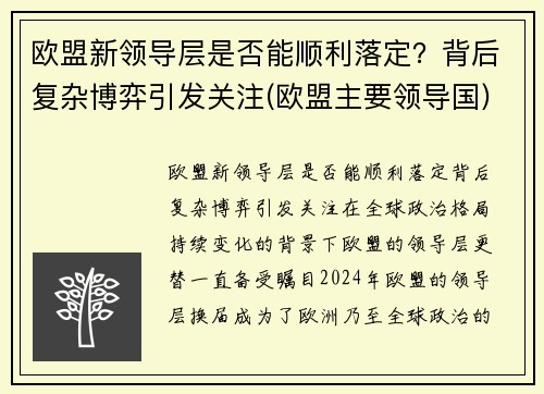 欧盟新领导层是否能顺利落定？背后复杂博弈引发关注(欧盟主要领导国)