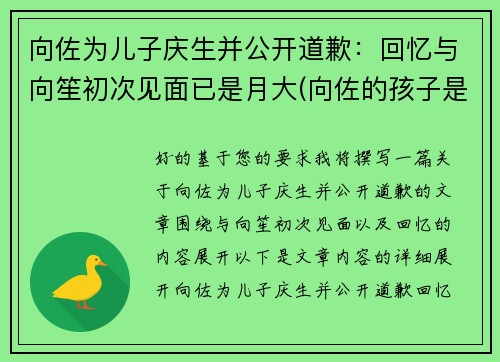 向佐为儿子庆生并公开道歉：回忆与向笙初次见面已是月大(向佐的孩子是男孩还是女孩)