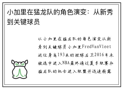小加里在猛龙队的角色演变：从新秀到关键球员